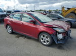 2014 Ford Focus Se Красный vin: 1FADP3F20EL350862