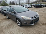 2014 Ford Focus Se Gray vin: 1FADP3F20EL406816