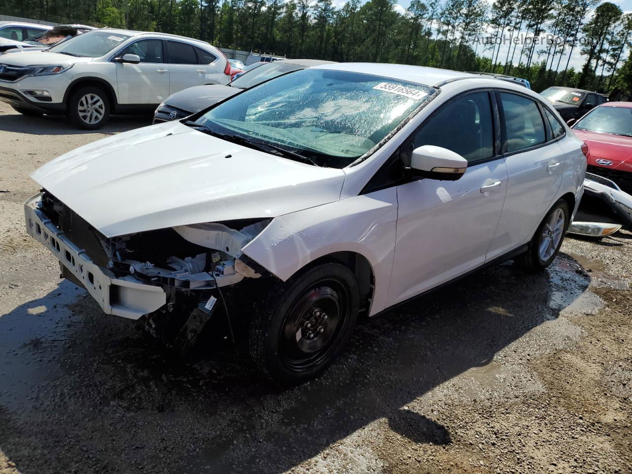 2015 Ford Focus Se White vin: 1FADP3F20FL264064