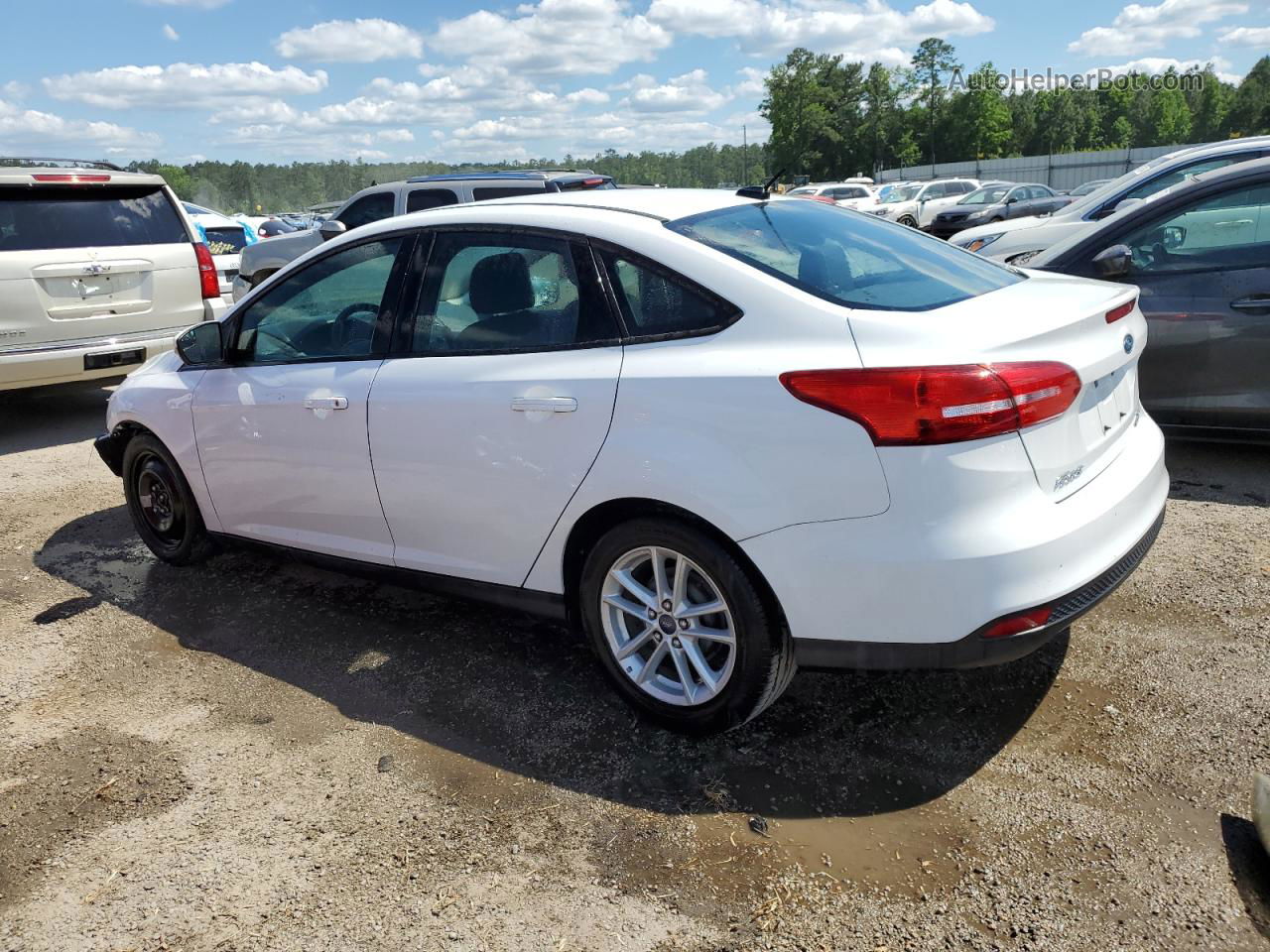 2015 Ford Focus Se White vin: 1FADP3F20FL264064