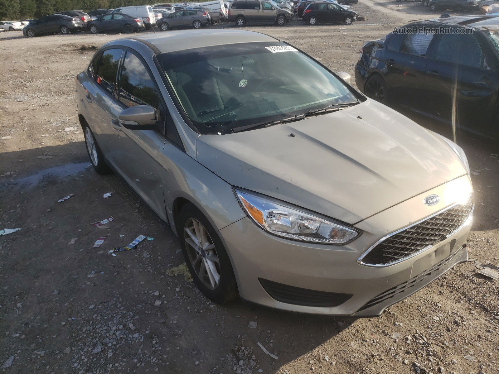 2016 Ford Focus Se Gold vin: 1FADP3F20GL405295