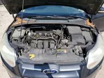 2013 Ford Focus Se Черный vin: 1FADP3F21DL175326