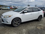 2013 Ford Focus Se White vin: 1FADP3F21DL248484