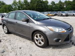 2014 Ford Focus Se Gray vin: 1FADP3F21EL120831