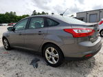 2014 Ford Focus Se Gray vin: 1FADP3F21EL120831