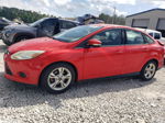 2014 Ford Focus Se Red vin: 1FADP3F21EL126175