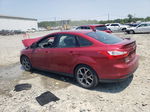 2014 Ford Focus Se Красный vin: 1FADP3F21EL193309