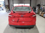 2014 Ford Focus Se Красный vin: 1FADP3F21EL370487