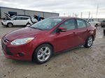 2014 Ford Focus Se Red vin: 1FADP3F21EL406176