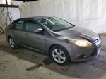 2014 Ford Focus Se Серый vin: 1FADP3F21EL426878