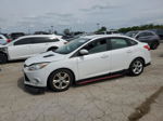 2014 Ford Focus Se White vin: 1FADP3F21EL449397