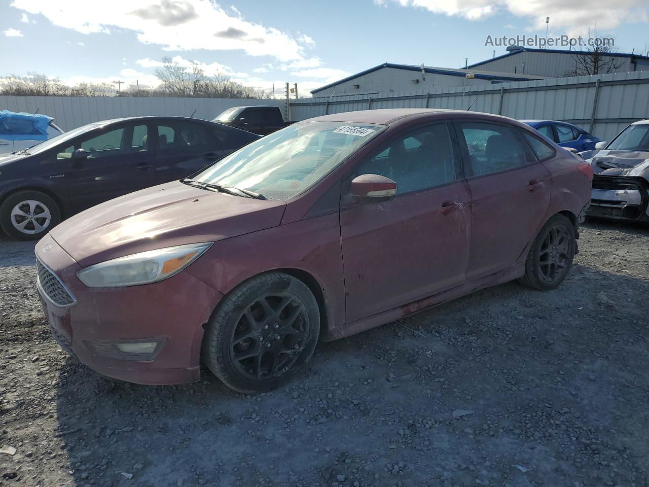 2015 Ford Focus Se Maroon vin: 1FADP3F21FL344411