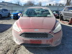 2015 Ford Focus Se Maroon vin: 1FADP3F21FL344411