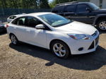 2013 Ford Focus Se Белый vin: 1FADP3F22DL145476