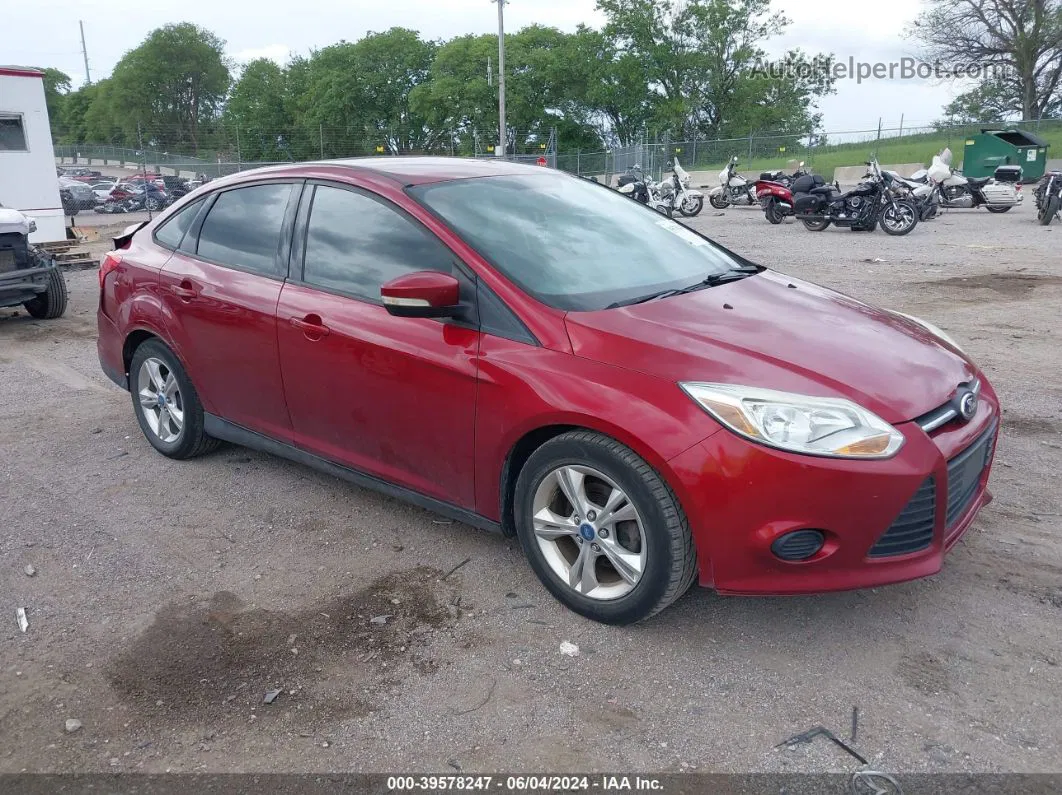 2013 Ford Focus Se Burgundy vin: 1FADP3F22DL195701