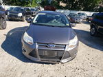 2014 Ford Focus Se Gray vin: 1FADP3F22EL125231