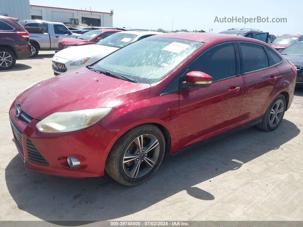 2014 Ford Focus Se Красный vin: 1FADP3F22EL320990