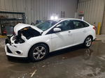 2014 Ford Focus Se Белый vin: 1FADP3F22EL351060