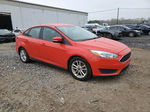 2015 Ford Focus Se Red vin: 1FADP3F22FL207302