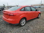 2015 Ford Focus Se Red vin: 1FADP3F22FL207302