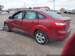 2013 Ford Focus Se Red vin: 1FADP3F23DL213137