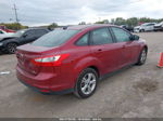 2013 Ford Focus Se Красный vin: 1FADP3F23DL213137