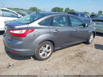 2013 Ford Focus Se Gray vin: 1FADP3F23DL217513