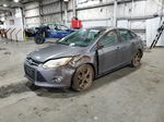 2013 Ford Focus Se Charcoal vin: 1FADP3F23DL266209