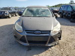 2013 Ford Focus Se Gray vin: 1FADP3F23DL288436