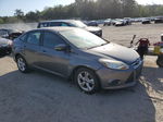 2013 Ford Focus Se Gray vin: 1FADP3F23DL288436