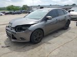 2013 Ford Focus Se Серый vin: 1FADP3F23DL309155