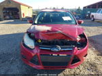 2013 Ford Focus Se Maroon vin: 1FADP3F23DL380386