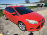 2014 Ford Focus Se Красный vin: 1FADP3F23EL109958