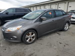 2014 Ford Focus Se Серый vin: 1FADP3F23EL380390