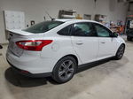 2014 Ford Focus Se Белый vin: 1FADP3F23EL407927