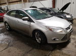 2014 Ford Focus Se Silver vin: 1FADP3F23EL433556