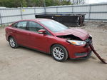 2015 Ford Focus Se Burgundy vin: 1FADP3F23FL333023