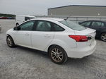 2015 Ford Focus Se White vin: 1FADP3F23FL372517