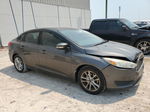 2016 Ford Focus Se Gray vin: 1FADP3F23GL250094