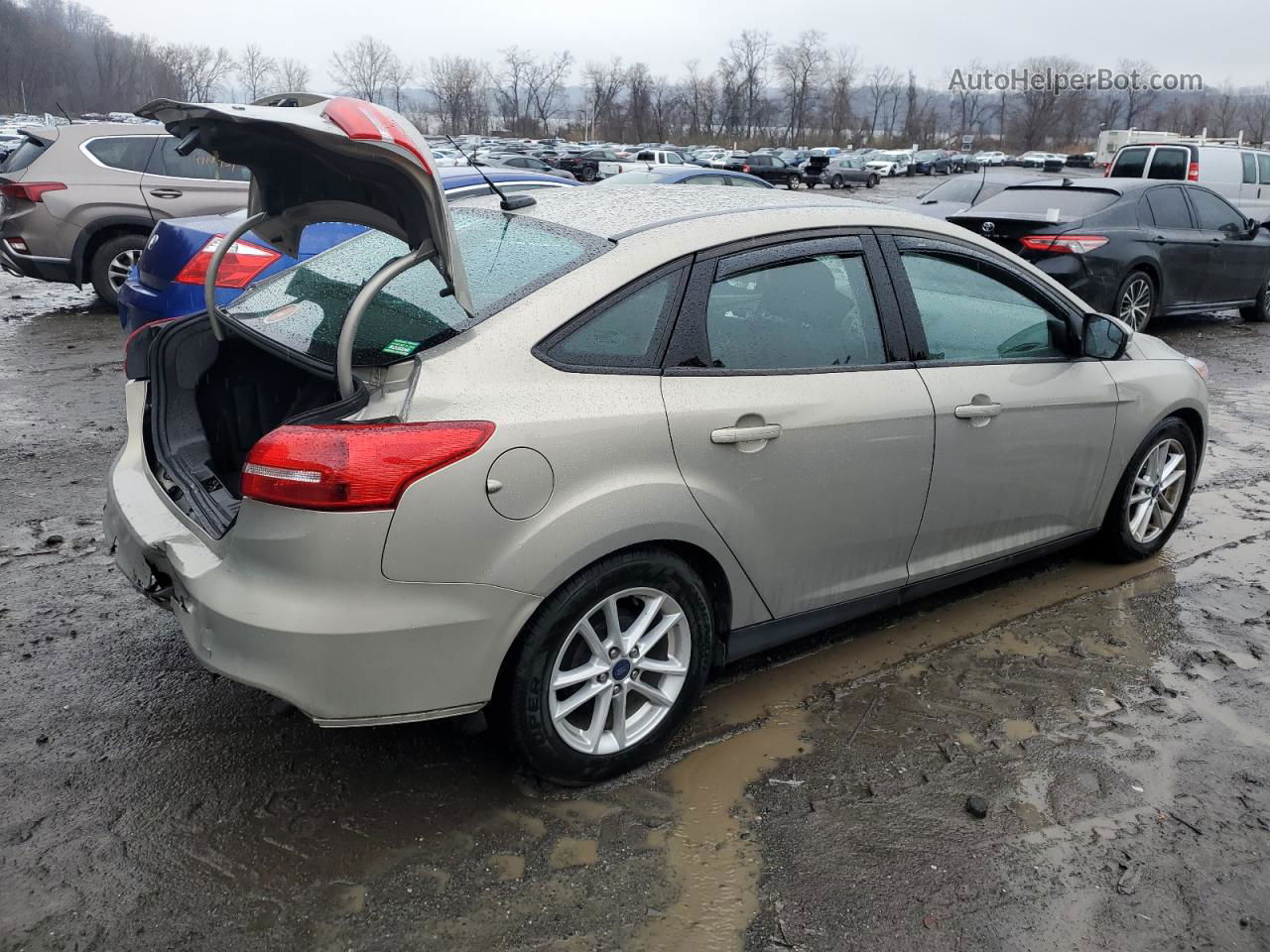 2016 Ford Focus Se Cream vin: 1FADP3F23GL317955