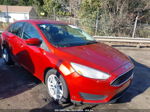 2018 Ford Focus Se Orange vin: 1FADP3F23JL265332