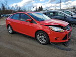 2013 Ford Focus Se Red vin: 1FADP3F24DL137251