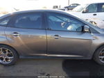 2014 Ford Focus Se Gray vin: 1FADP3F24EL158120