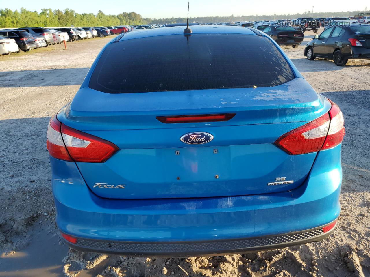 2014 Ford Focus Se Blue vin: 1FADP3F24EL253812