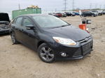 2014 Ford Focus Se Black vin: 1FADP3F24EL280329