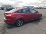 2014 Ford Focus Se Красный vin: 1FADP3F24EL366496