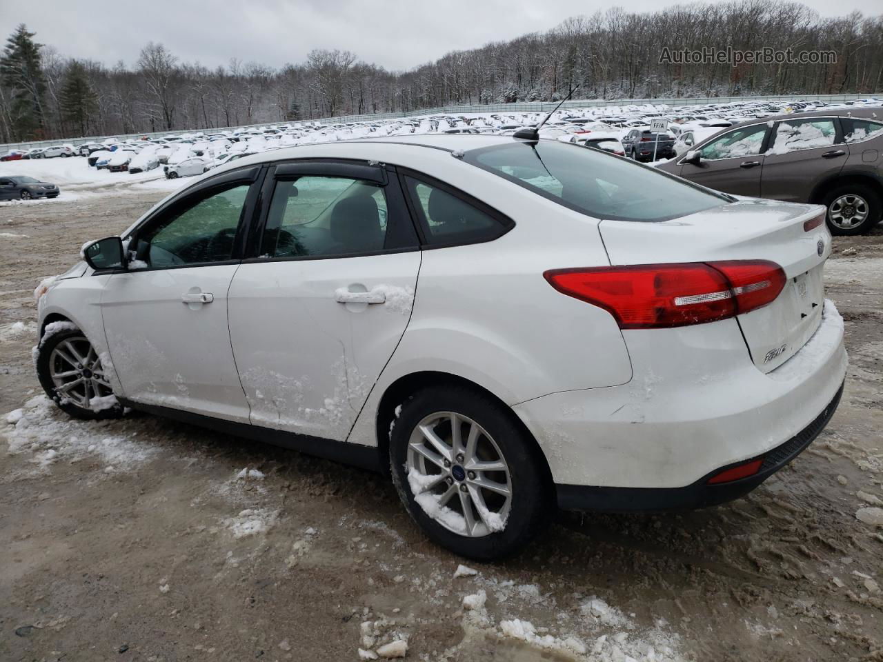 2015 Ford Focus Se White vin: 1FADP3F24FL205745