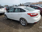 2013 Ford Focus Se Белый vin: 1FADP3F25DL261402