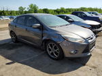 2014 Ford Focus Se Gray vin: 1FADP3F25EL135106