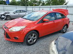 2014 Ford Focus Se Red vin: 1FADP3F25EL142606